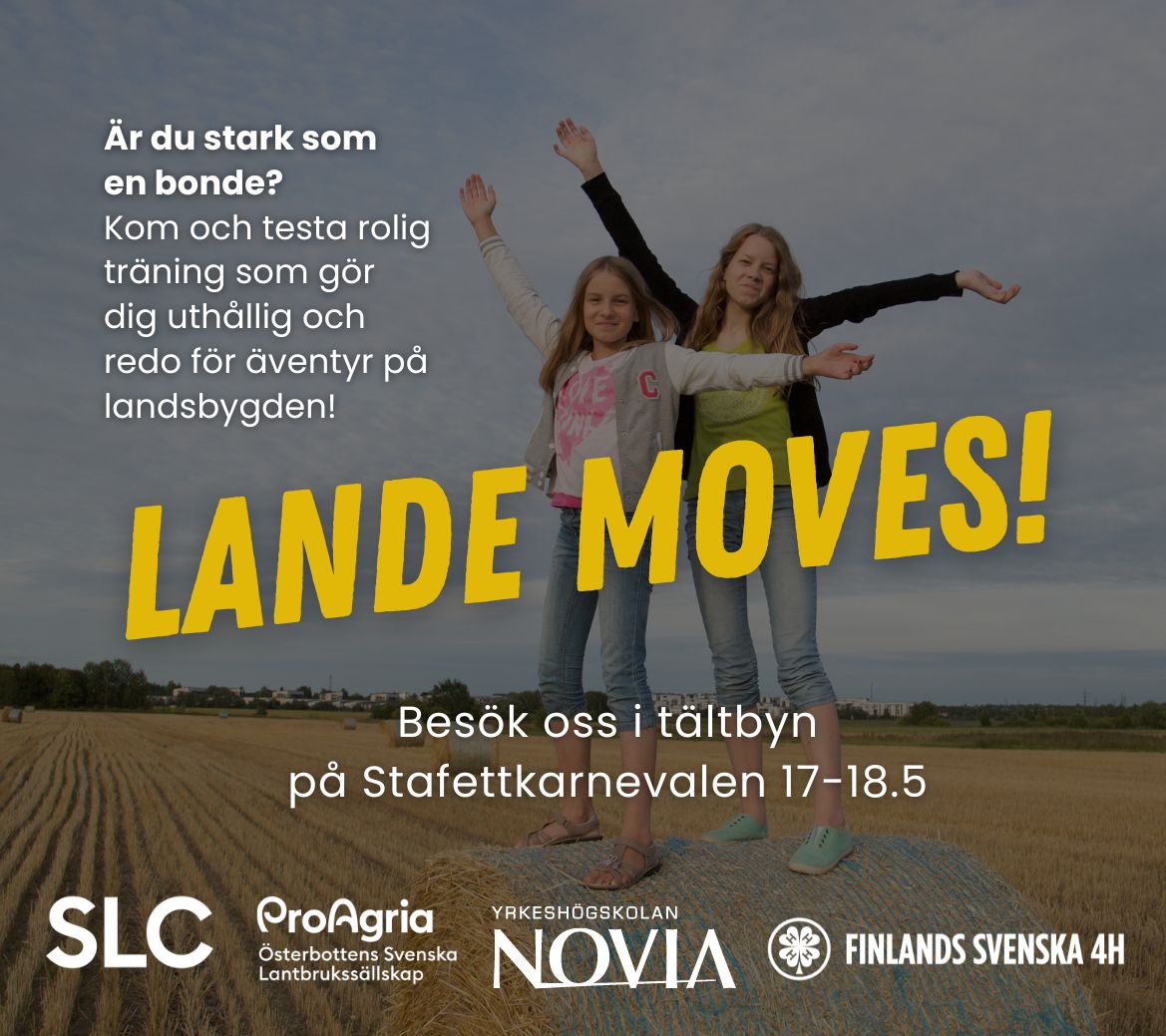 Fs4H gör Lande Moves på Stafettkarnevalen 2024